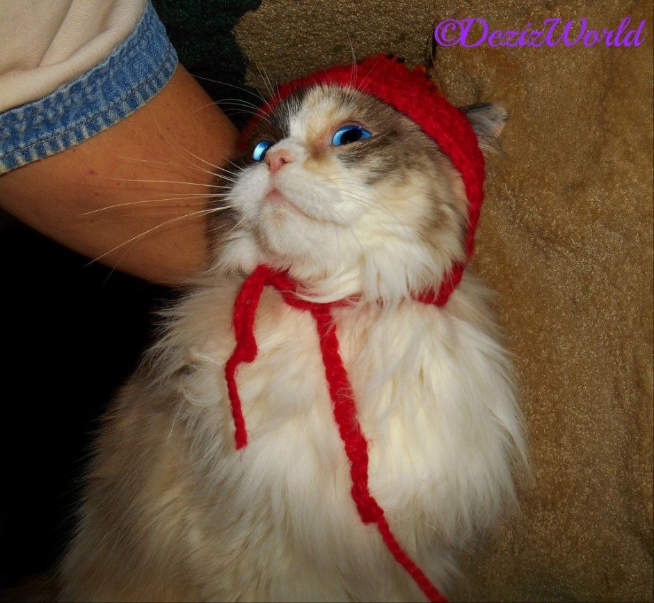 Raena looks up at mommy while wearing the bobble hat