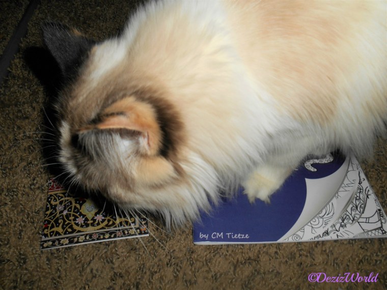 Raena sniffs card from Dash Kitten while standing on the coloring book