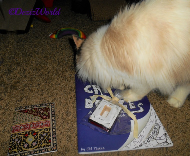 Raena checking out the coloring book, painting and card from Dash Kitten