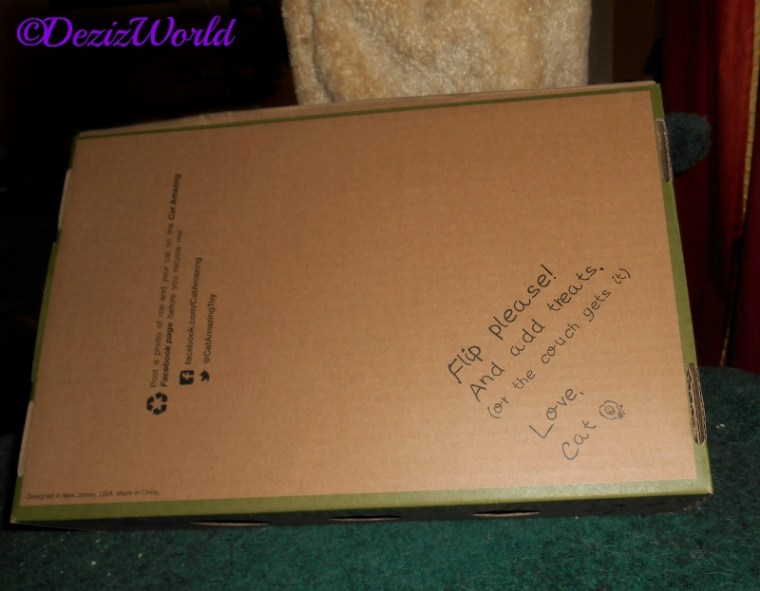 Cat Amazing Cat Puzzle Toy,