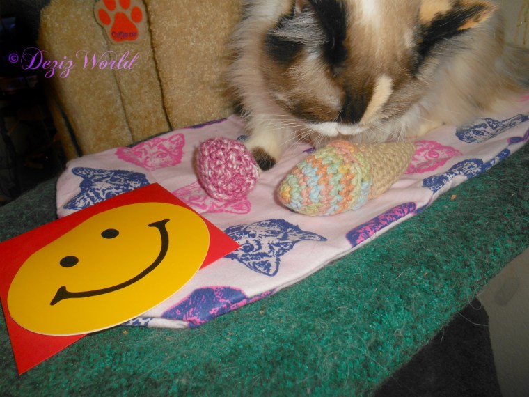 Raena sniffs made with love birthday toys