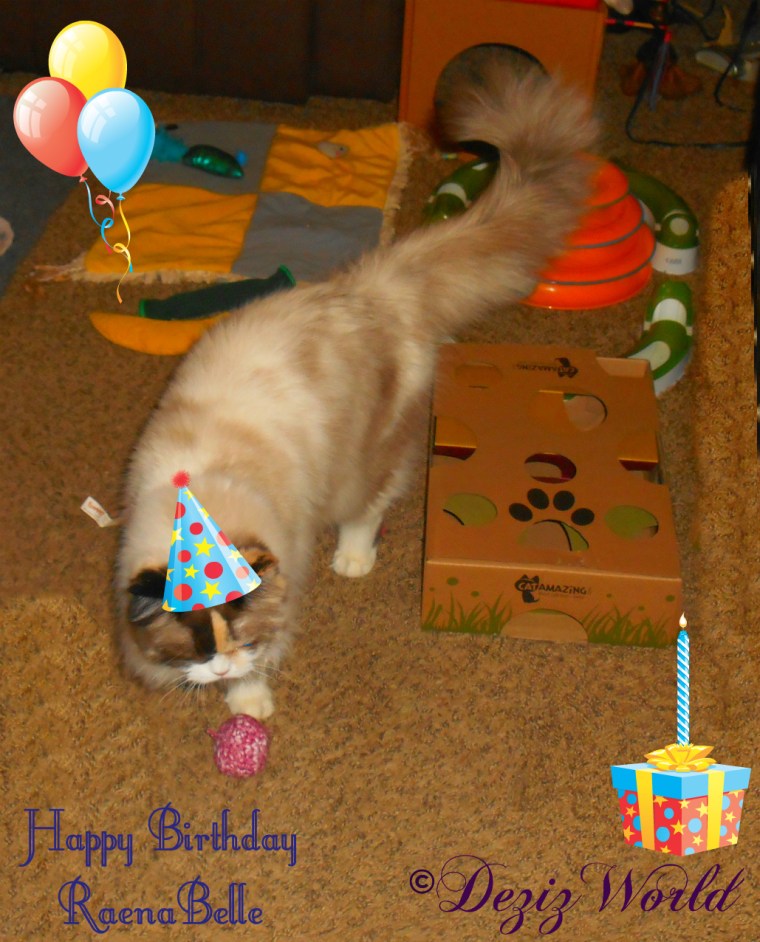 Raena with a party hat, balloons and gift