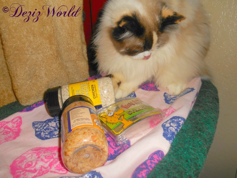 Raena checks out her 1st birthday gift from the Tomacat family