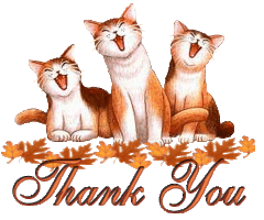 3 cats meowing thank you