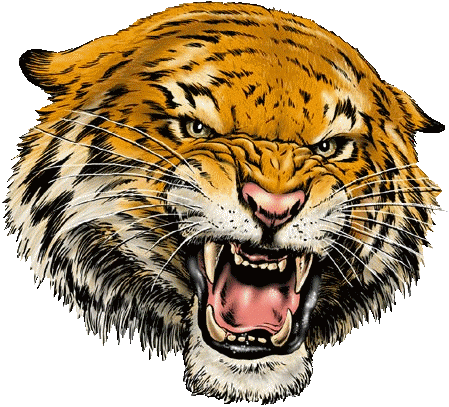 Angry Tiger emoji