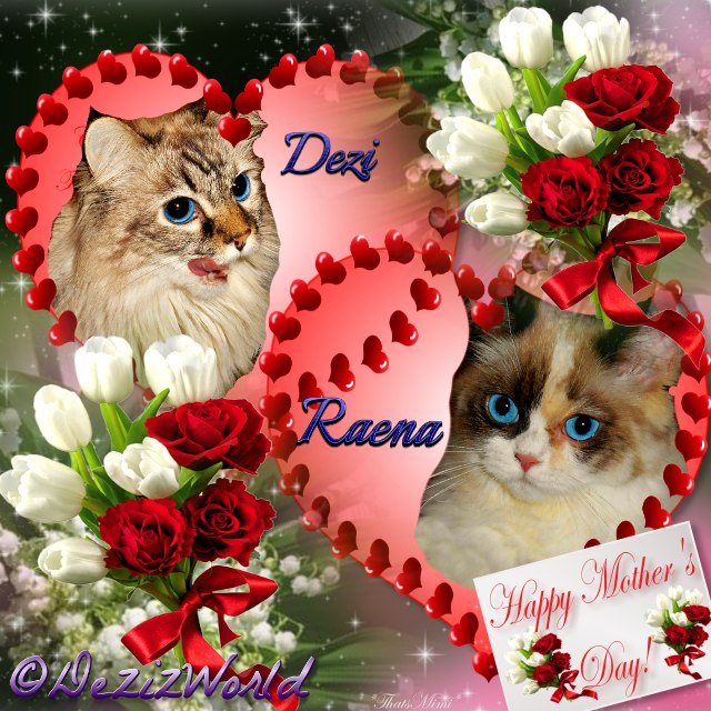 Dezi and Raena in hearts with red and white roses for Mother's day