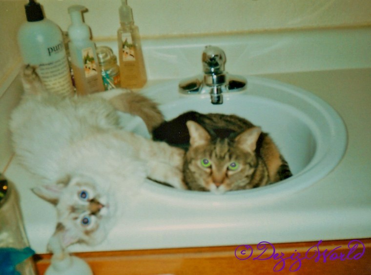 Devon and Lexi together on sink