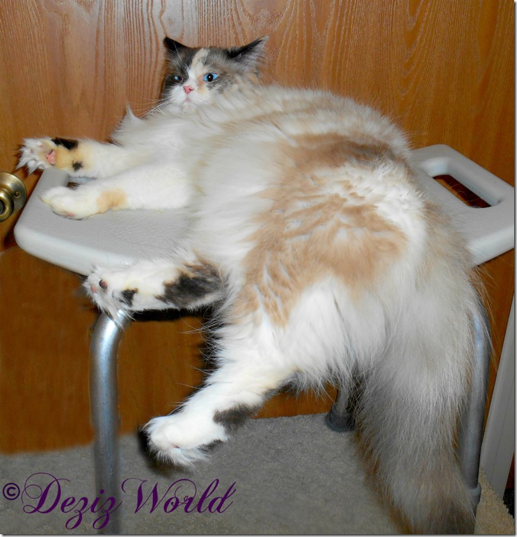 dw-Raena lays on shower bench 9310