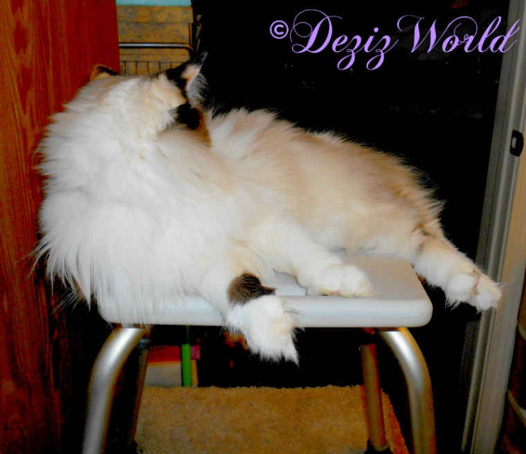 Raena lays on shower bench and looks into bedroom