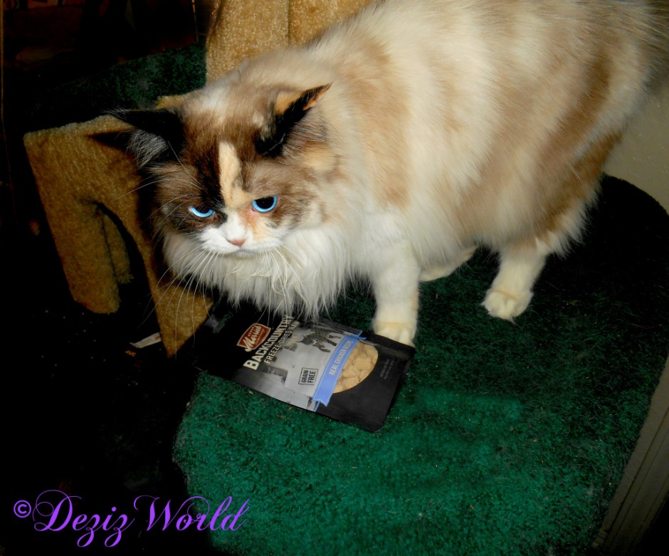 Raena with Merrick Freeze dried cat treats