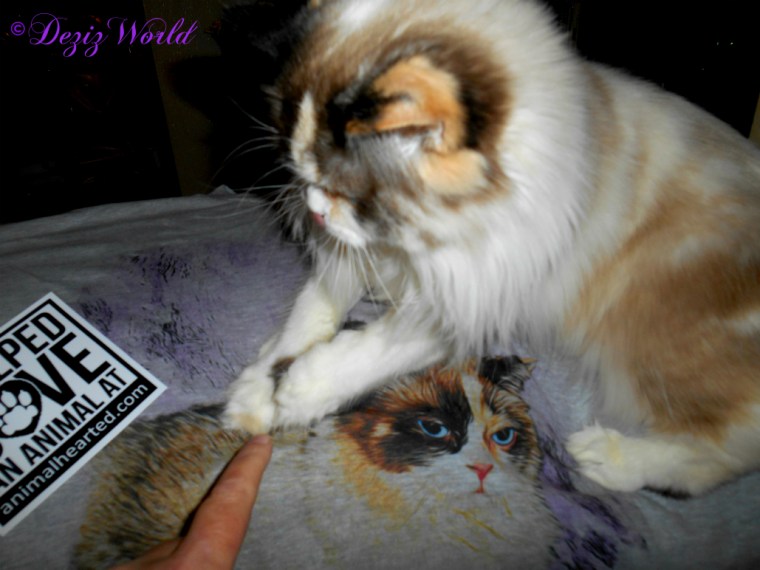 Raena sits on the personalized tee shirt from Animal Hearted