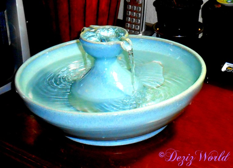 Thirsty Cat Fountain