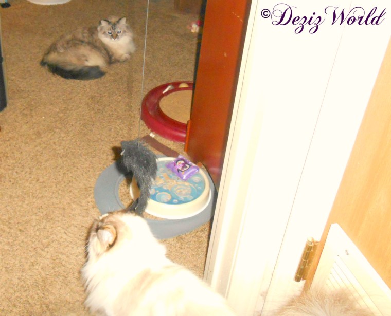 Dezi hides in bedroom and Raena heads down hall to her