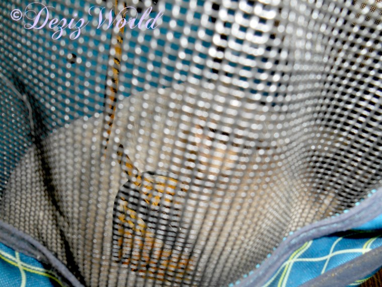 Raena in stroller at dentist