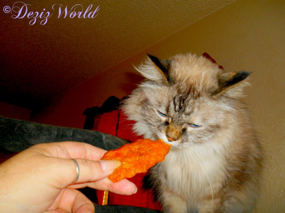 Dezi takes a bite of the beyond chicken cutlett