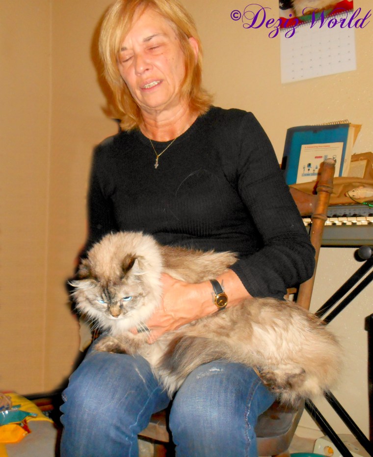 Dezi sits in Elizabeth's lap