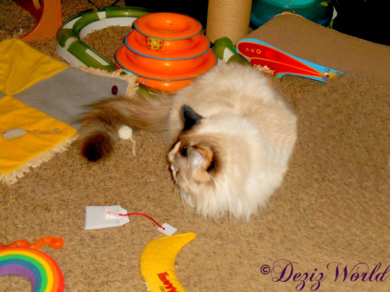 Raena lays on floor looking at toys