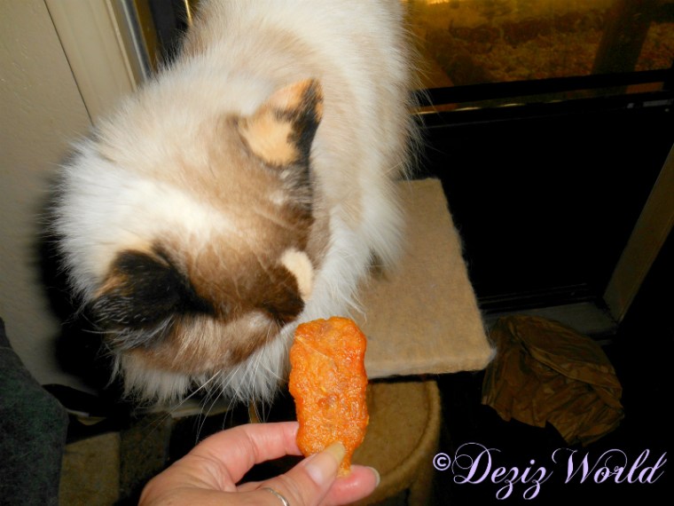 Raena sniffs Beyond chicken cutlett