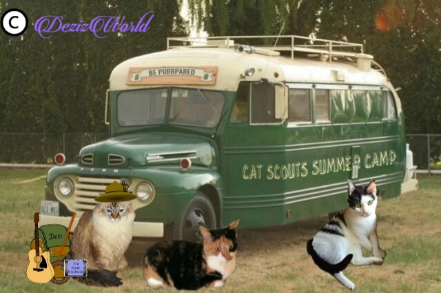 Dezi, Cat and Aetheling prepare to board Cat Scouts bus