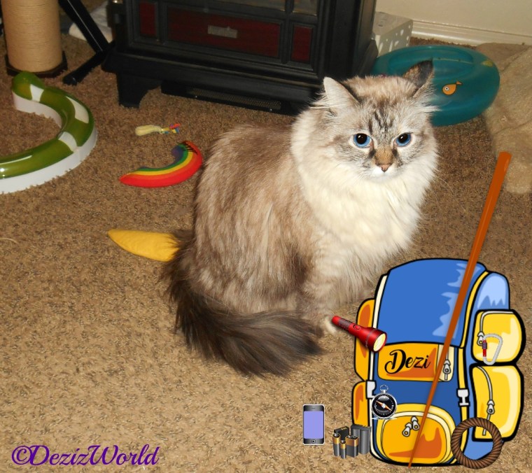 Dezi sits on floor with backpack and camping supplies for cat scouts summer camp trip