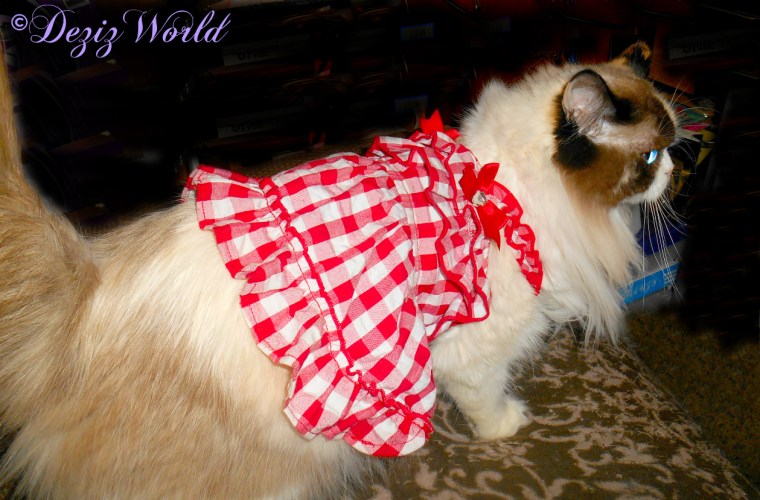 Raena profile in her red dress