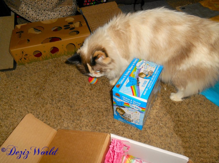 Raena checks out the WEruva