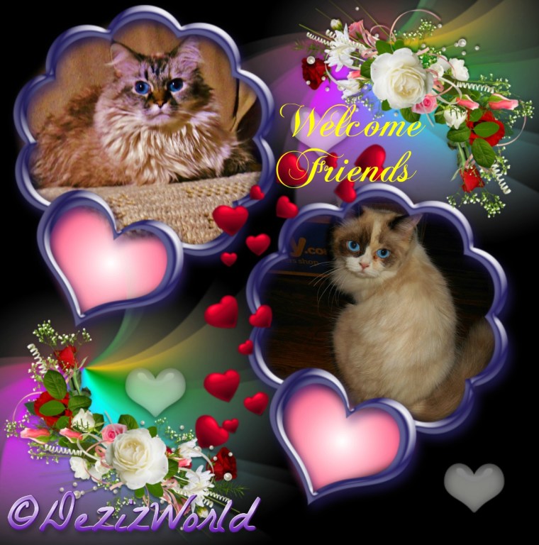 Dezi and Raena in a photo frame welcoming friends