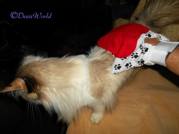 Raena gets brushed with mitt glove