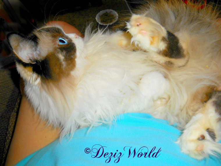 Raena lays in mommy's lap