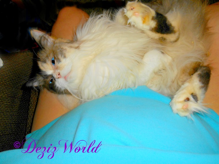 Raena lays in mommy's lap