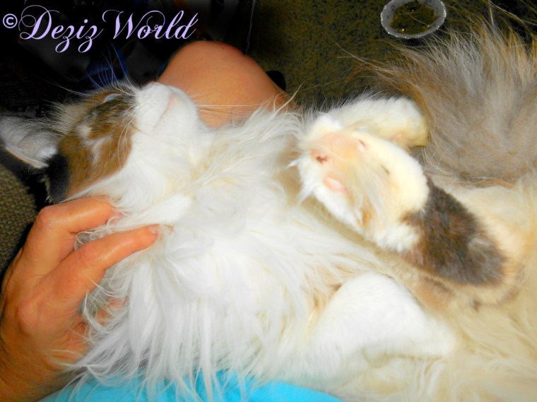 Raena lays in mommy's lap and gets loving