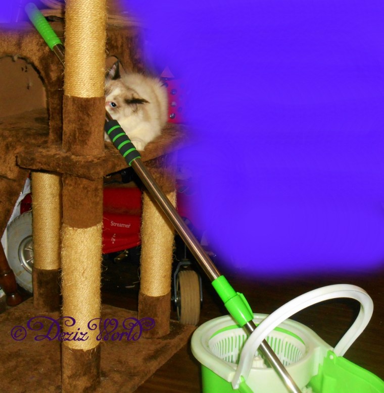 Raena checks out the mop