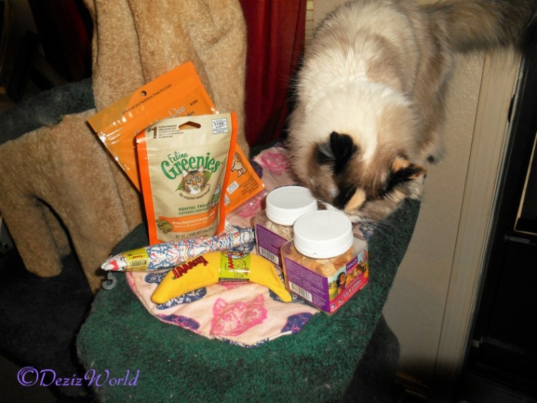 Raena checks out all her winnings from the Chewy fashion contest