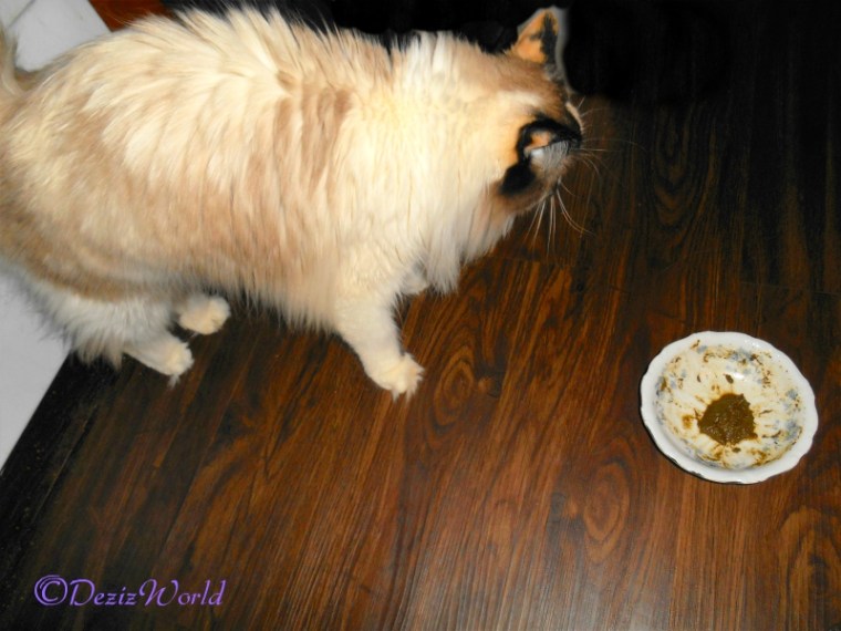 Raena backs away from honest kitchen perfect form