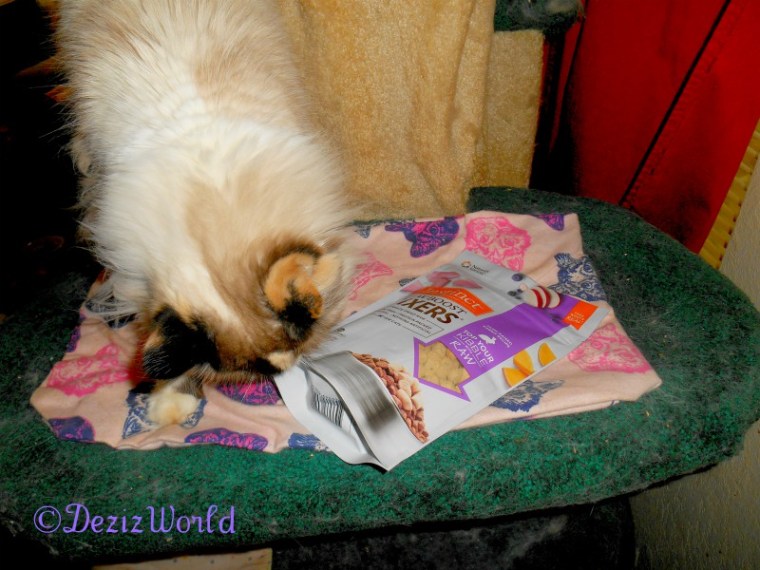 Raena sniffs the Instinct Rawboost Mixers