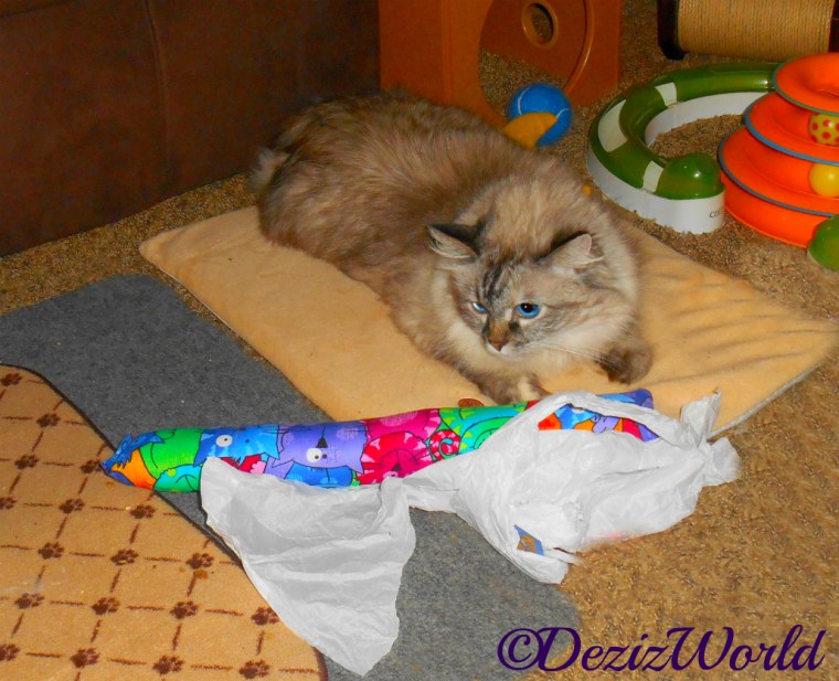 Dezi lays on cat mat and looks at the Kitty Kick Stix half out of the wrapper in front of her