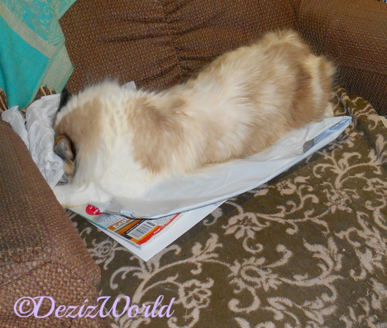 Raena rolls in the Kitty Kick Stix wrapper