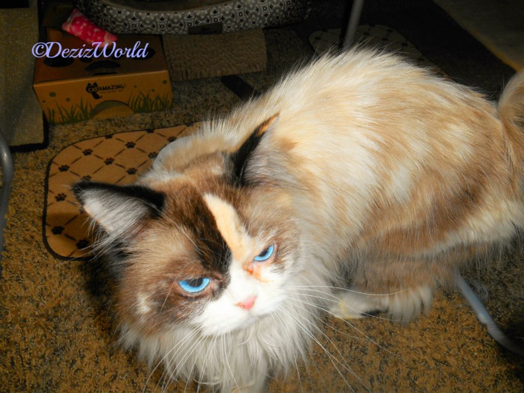 Raena with goopy eyes