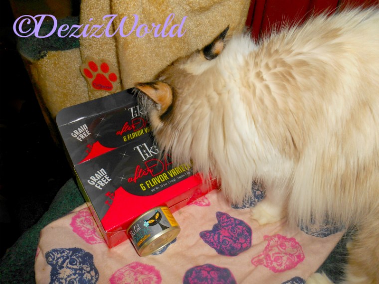 Raena sniffs the box of TikiCat After Dark cat food.