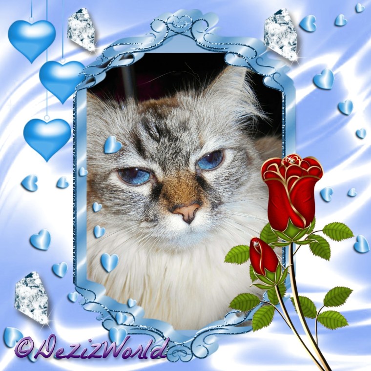 Dezi in a blue frame with blue hearts diamonds and roses