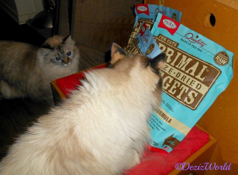 Dezi and Raena check out the Primal Freeze Dried cat food sent by Vonda