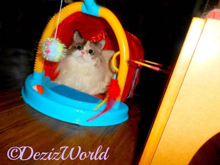 Raena lays inside tent track toy