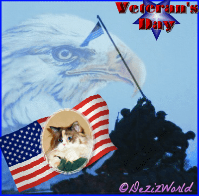 Raena in an animated flag veteran's day frame