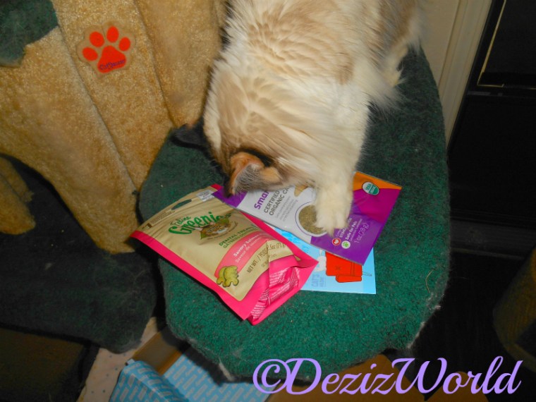 Raena paws at the Goody Box treats