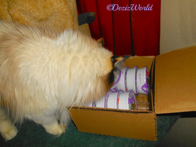 Raena checks out the Instinct Minced rabbit