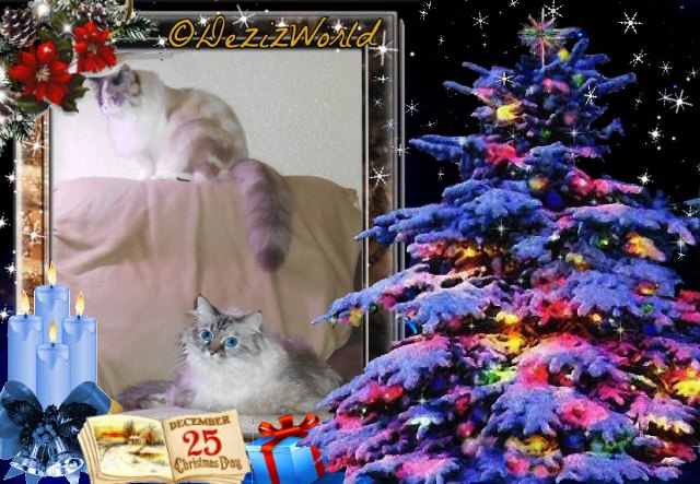 Dezi and Raena sitting on chair in a Christmas frame