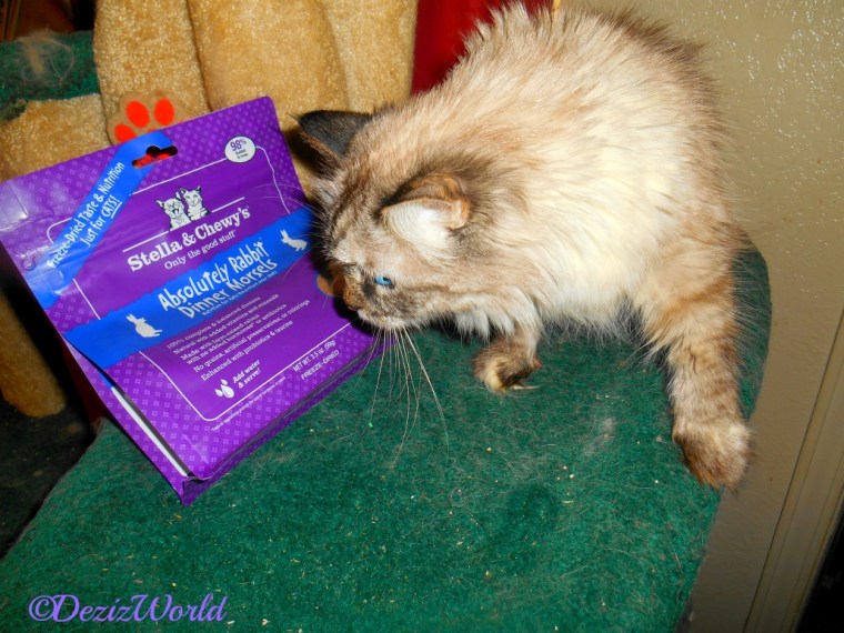 Dezi checks out the Stella and Chewy food