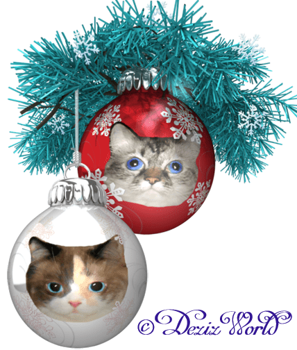 Dezi and Raena in Christmas ball decorations frame