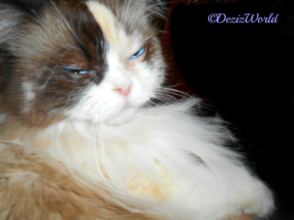 Raena gets loving while laying in mommy's lap and squints for the camera