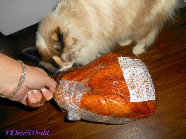 Raena and Turkey from LouLou, Suzanne and Don